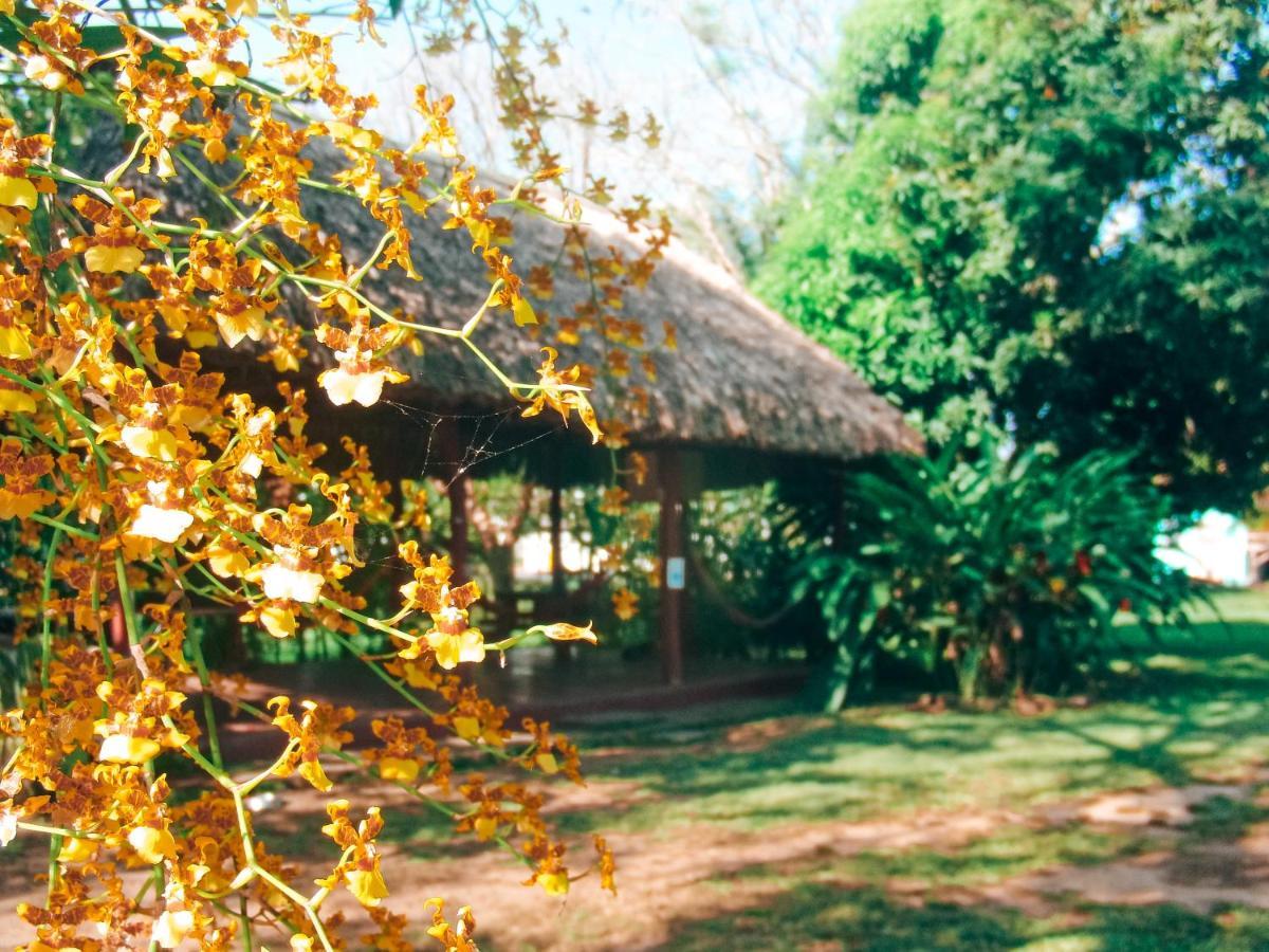 Mana Kai Camping & Cabins Сан-Игнасио Экстерьер фото