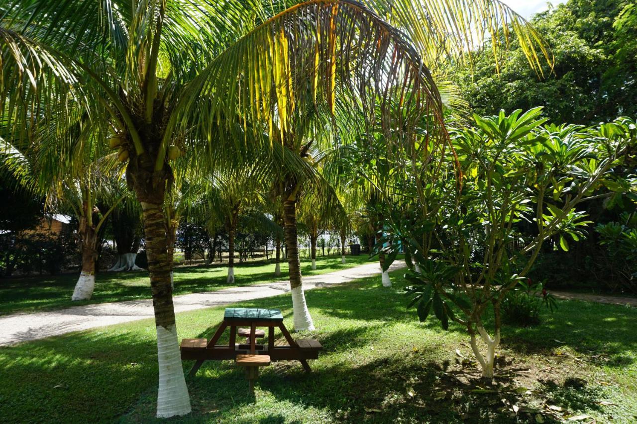 Mana Kai Camping & Cabins Сан-Игнасио Экстерьер фото